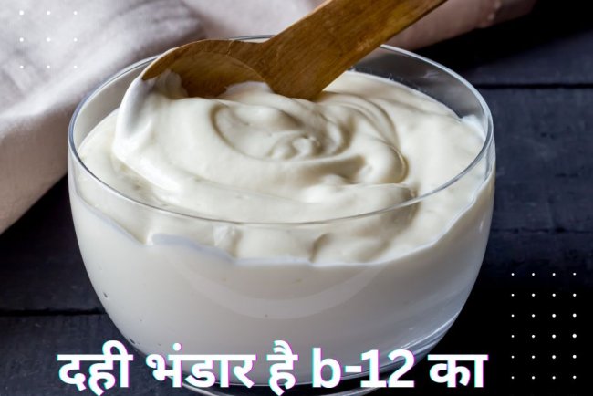 दही में छिपा है Vitamin-B12 को बढ़ाने का सीक्रेट! बस मिलाकर खाएं ये 3 चीजें