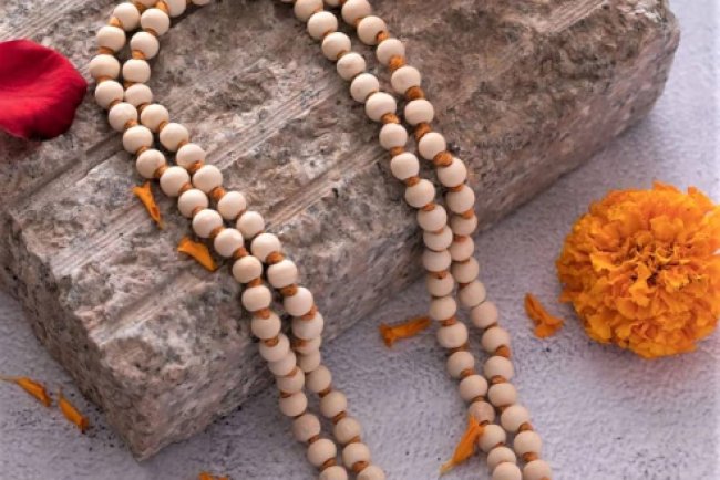 Tulsi Mala Ke Niyam: कब और कैसे पहनें तुलसी माला? जानिए नियम और आध्यात्मिक लाभ