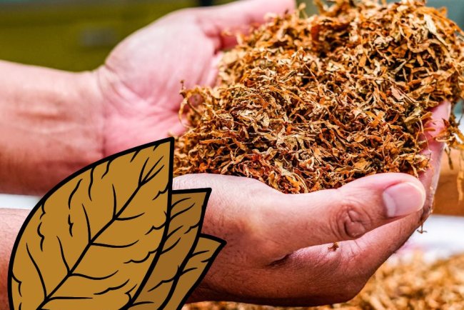 भारत में तेजी से बढ़ रहा है बर्गर डिजीज का खतरा: लक्षण, कारण और बचाव के उपाय