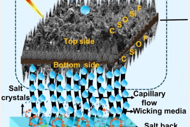 IIT Bombay Scientists Develop Lotus Leaf-like Solar Evaporators for Salt Water Treatment