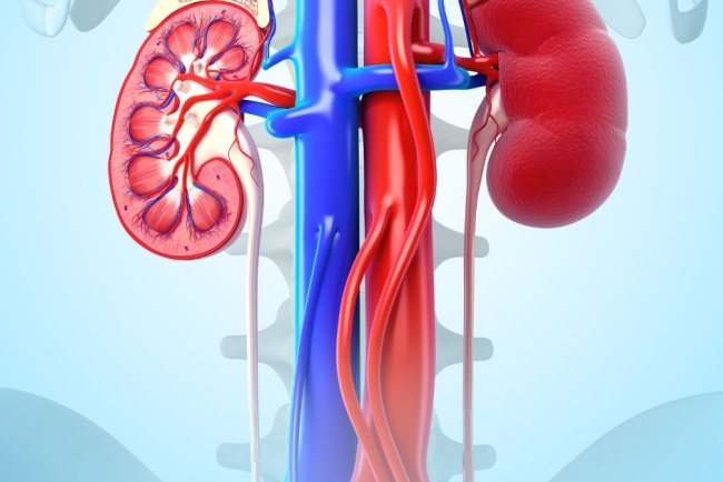 डर से क‍िडनी ताे गुस्‍से से ल‍िवर होता है खराब, कुछ यूं शरीर के अंगों को प्रभावि‍त करते हैं इमोशंस