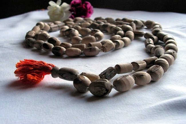 क्या तुलसी की माला पहनकर सोना चाहिए? जानें धार्मिक और व्यावहारिक दृष्टिकोण