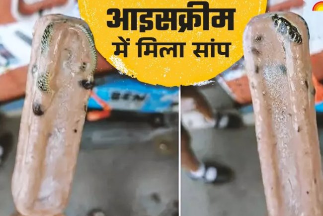 Ice Cream का रैपर खोलते ही निकला जमा हुआ सांप, वायरल फोटो देख हर कोई हैरान