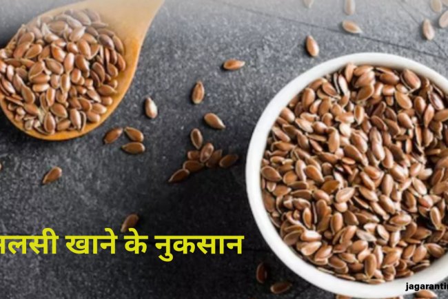 हर चीज गर्मियों में खाने की नहीं होती; अलसी खा रहे हैं तो जान लें 5 बड़े नुकसान