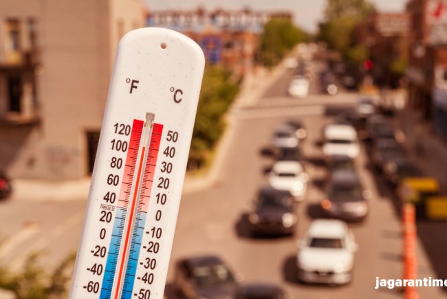 Heatwave में शरीर को ठंडक और एनर्जी द‍िलाएंगे ये फूड्स; नाश्‍ते में जरूर करें शाम‍िल