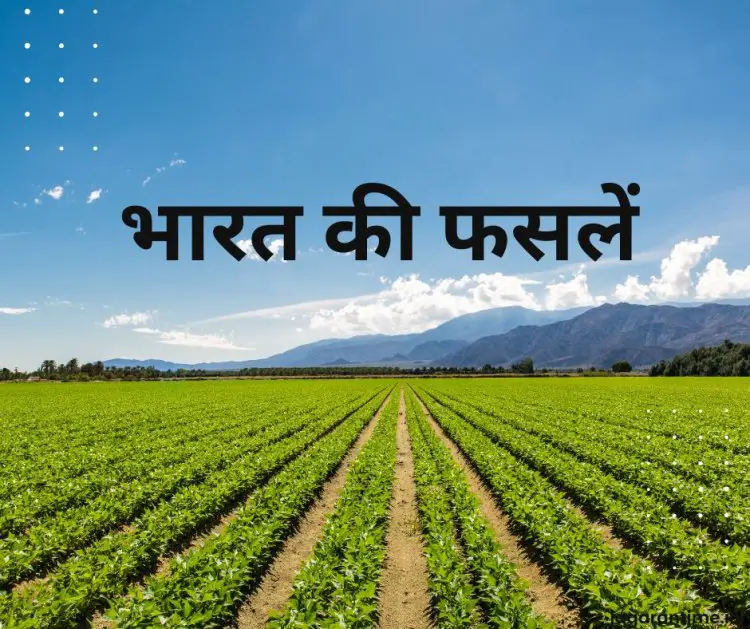 भारत की फसलें: प्रमुख प्रकार, फायदे और चुनौतियाँ