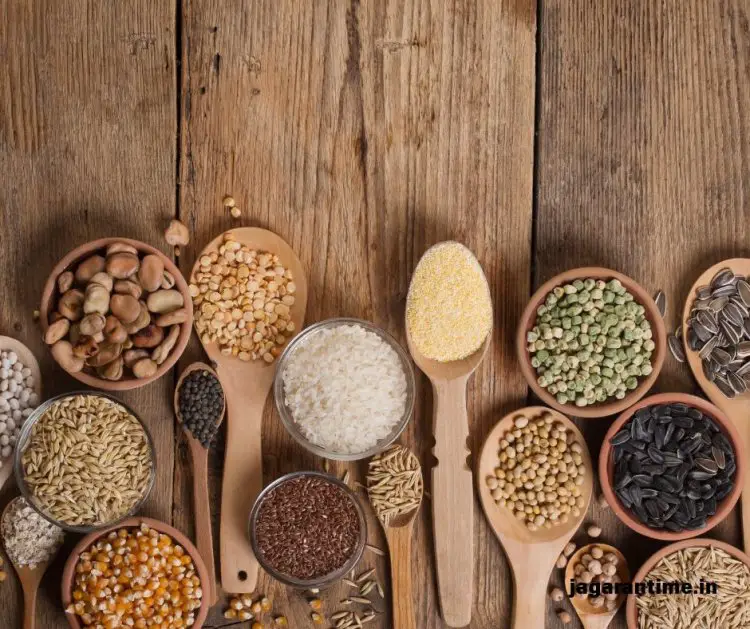 India’s First Seed Germination Database to Revolutionize Farming and Reforestation
