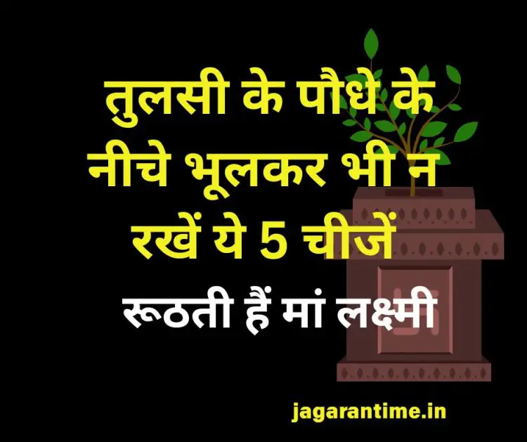 वास्तु टिप्स: तुलसी के पौधे के नीचे भूलकर भी न रखें ये 5 चीजें, रूठती हैं मां लक्ष्मी