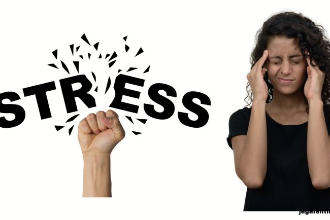 Say Goodbye to Stress and Anxiety! 8 Easy Tips to Keep Your Mind Calm