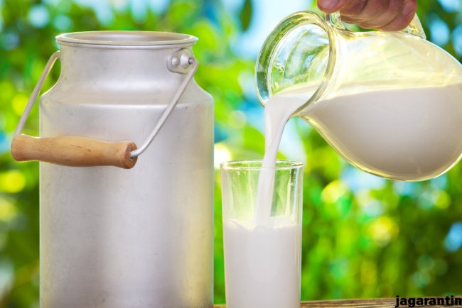 कहीं आपके घर भी तो नहीं पहुंचा रहा मिलावटी दूध और पनीर? इन आसान तरीकों से करें पहचान