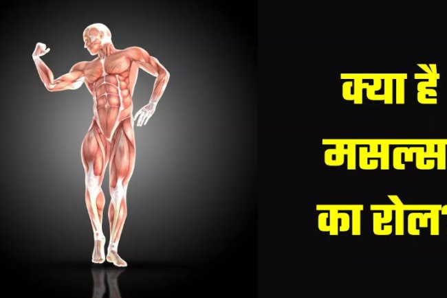 हमारे शरीर में अहम भूम‍िका न‍िभाते हैं Muscles, इन 3 तरीकों से इन्‍हें बनाएं मजबूत
