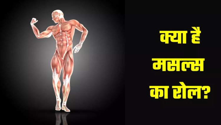 हमारे शरीर में अहम भूमिका निभाते हैं Muscles, इन 3 तरीकों से इन्हें बनाएं मजबूत