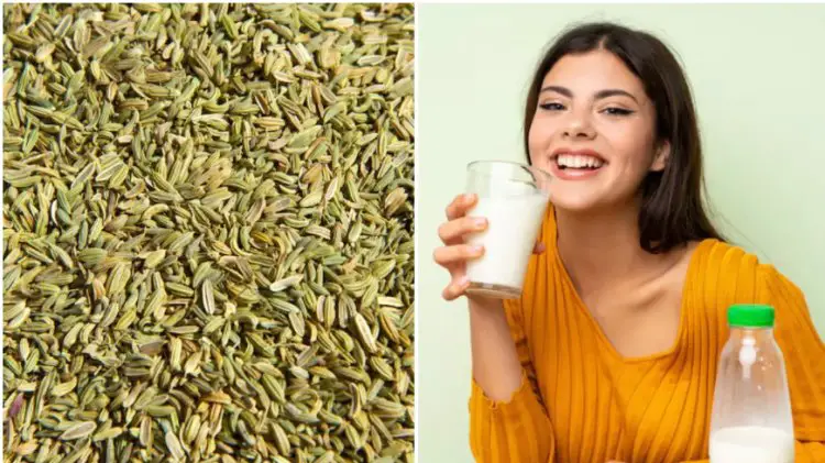 सोने से पहले हर दिन पी जाइए एक गिलास सौंफ वाला दूध, रातभर आएगी सुकून भरी नींद; मिलेंगे ढेरों फायदे
